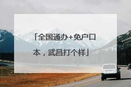 全国通办+免户口本，武昌打个样