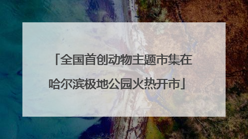 全国首创动物主题市集在哈尔滨极地公园火热开市