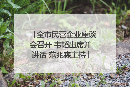 全市民营企业座谈会召开 韦韬出席并讲话 范兆森主持