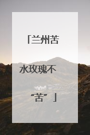 兰州苦水玫瑰不“苦”