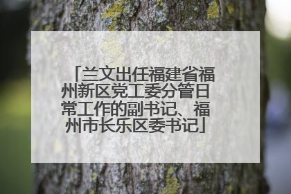 兰文出任福建省福州新区党工委分管日常工作的副书记、福州市长乐区委书记