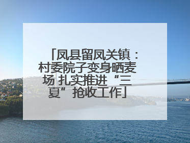 凤县留凤关镇：村委院子变身晒麦场 扎实推进“三夏”抢收工作
