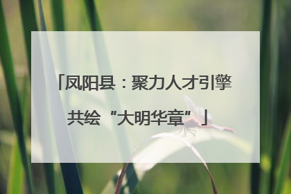 凤阳县：聚力人才引擎 共绘“大明华章”