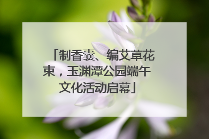 制香囊、编艾草花束，玉渊潭公园端午文化活动启幕