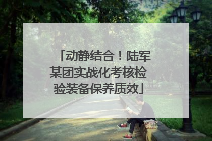 动静结合！陆军某团实战化考核检验装备保养质效