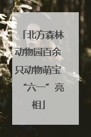 北方森林动物园百余只动物萌宝“六一”亮相
