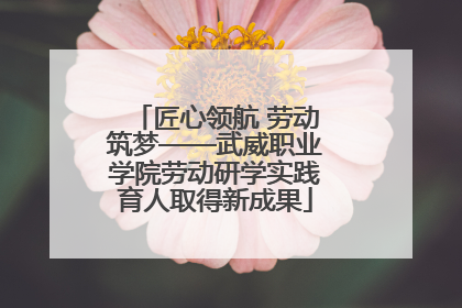 匠心领航 劳动筑梦——武威职业学院劳动研学实践育人取得新成果