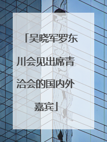 吴晓军罗东川会见出席青洽会的国内外嘉宾