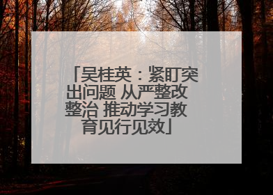 吴桂英：紧盯突出问题 从严整改整治 推动学习教育见行见效