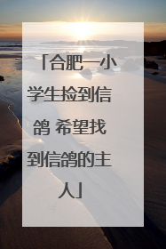 合肥一小学生捡到信鸽 希望找到信鸽的主人