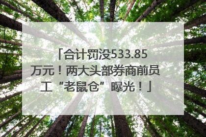 合计罚没533.85万元！两大头部券商前员工“老鼠仓”曝光！