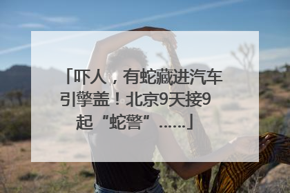 吓人，有蛇藏进汽车引擎盖！北京9天接9起“蛇警”……