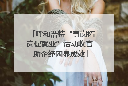 呼和浩特“寻岗拓岗促就业”活动收官 助企纾困显成效