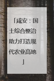 咸安：国土综合整治助力打造现代农业高地