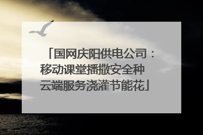 国网庆阳供电公司：移动课堂播撒安全种 云端服务浇灌节能花