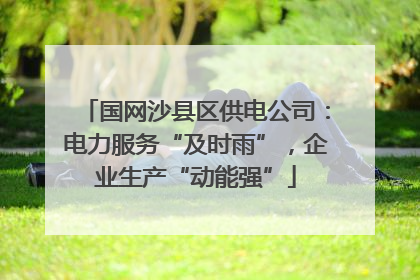 国网沙县区供电公司：电力服务“及时雨”，企业生产“动能强”