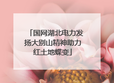 国网湖北电力发扬大别山精神助力红土地蝶变