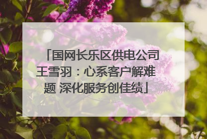 国网长乐区供电公司王雪羽：心系客户解难题 深化服务创佳绩