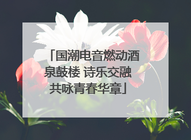 国潮电音燃动酒泉鼓楼 诗乐交融共咏青春华章