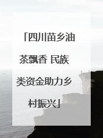 四川苗乡油茶飘香 民族类资金助力乡村振兴