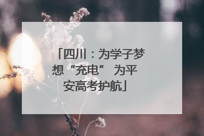 四川：为学子梦想“充电” 为平安高考护航