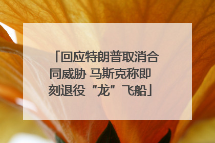 回应特朗普取消合同威胁 马斯克称即刻退役“龙”飞船