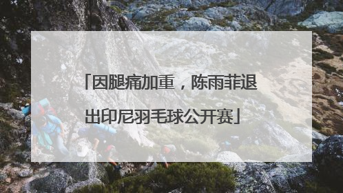 因腿痛加重，陈雨菲退出印尼羽毛球公开赛