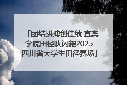 团结拼搏创佳绩 宜宾学院田径队闪耀2025四川省大学生田径赛场