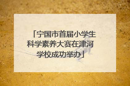 宁国市首届小学生科学素养大赛在津河学校成功举办