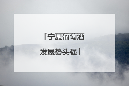 宁夏葡萄酒发展势头强