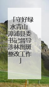 守好绿水青山 漳浦县委书记督导涉林图斑整改工作