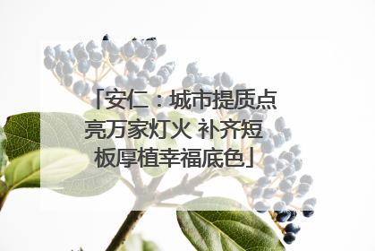 安仁：城市提质点亮万家灯火 补齐短板厚植幸福底色