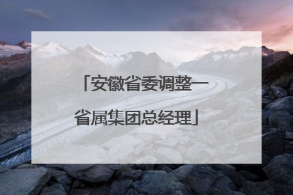 安徽省委调整一省属集团总经理