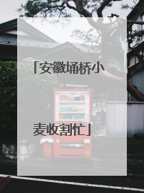 安徽埇桥小麦收割忙