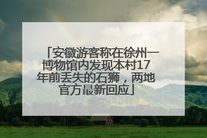 安徽游客称在徐州一博物馆内发现本村17年前丢失的石狮，两地官方最新回应