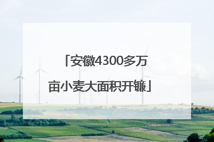 安徽4300多万亩小麦大面积开镰