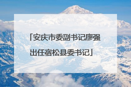 安庆市委副书记廖强出任宿松县委书记