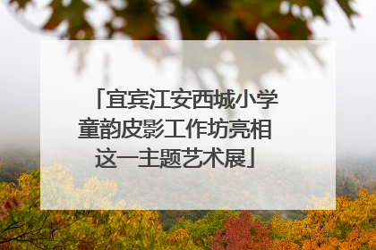 宜宾江安西城小学童韵皮影工作坊亮相这一主题艺术展