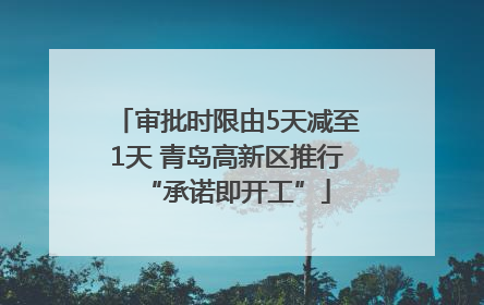 审批时限由5天减至1天 青岛高新区推行“承诺即开工”