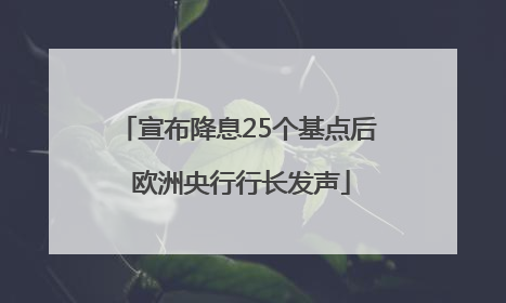 宣布降息25个基点后 欧洲央行行长发声