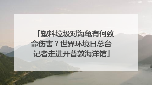 塑料垃圾对海龟有何致命伤害？世界环境日总台记者走进开普敦海洋馆