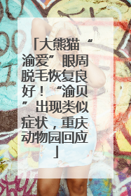 大熊猫“渝爱”眼周脱毛恢复良好！“渝贝”出现类似症状，重庆动物园回应