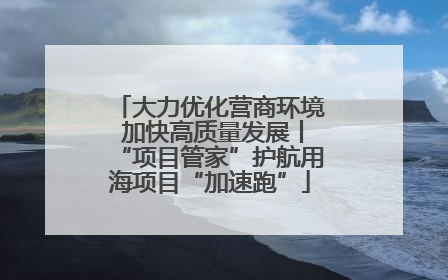 大力优化营商环境 加快高质量发展丨“项目管家”护航用海项目“加速跑”