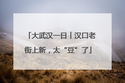 大武汉一日︱汉口老街上新，太“豆”了