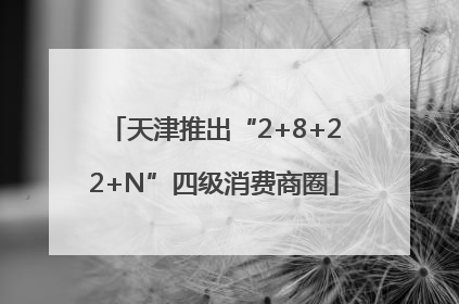 天津推出“2+8+22+N”四级消费商圈