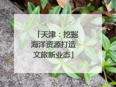 天津：挖掘海洋资源打造文旅新业态