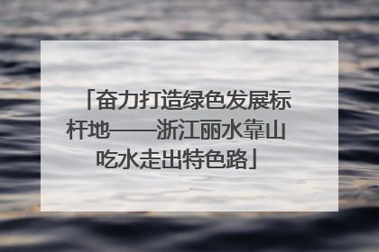 奋力打造绿色发展标杆地——浙江丽水靠山吃水走出特色路