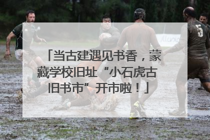 当古建遇见书香，蒙藏学校旧址“小石虎古旧书市”开市啦！