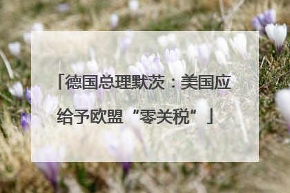 德国总理默茨：美国应给予欧盟“零关税”