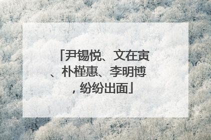 尹锡悦、文在寅、朴槿惠、李明博，纷纷出面